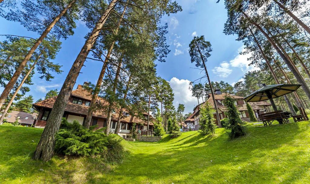Apartament Kraljevi Konaci - Najam Kuca Na Zlatiboru Zewnętrze zdjęcie