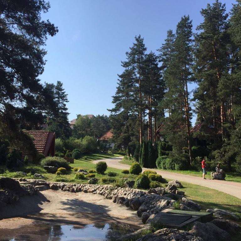 Apartament Kraljevi Konaci - Najam Kuca Na Zlatiboru Zewnętrze zdjęcie
